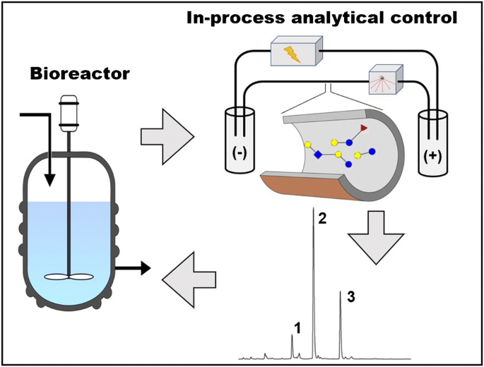 Characterization and Quantification of Oligosaccharides in Human Milk and  Infant Formula