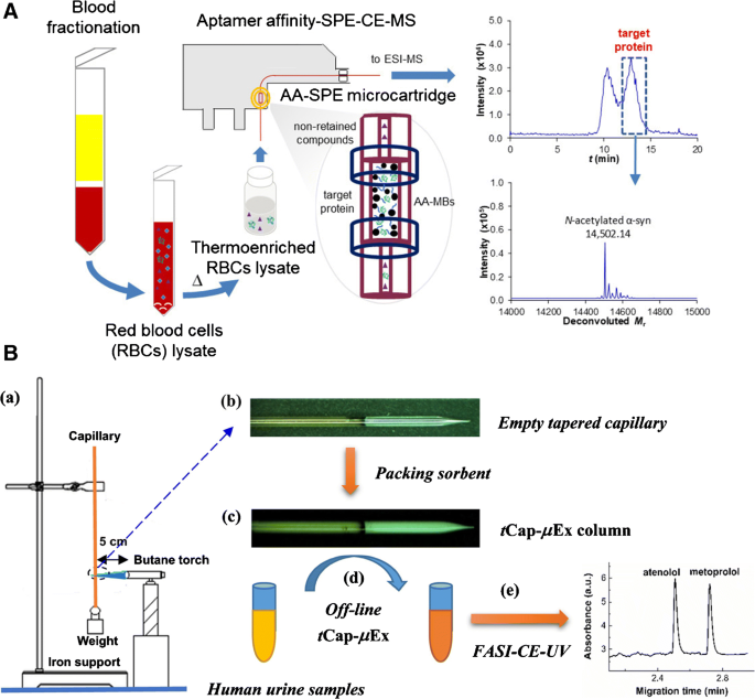 Recent 18 Development In Capillary Electrophoresis Springerlink