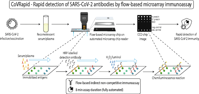 Automated, flow-based chemiluminescence microarray immunoassay for the  rapid multiplex detection of IgG antibodies to SARS-CoV-2 in human serum  and plasma (CoVRapid CL-MIA) | Analytical and Bioanalytical Chemistry
