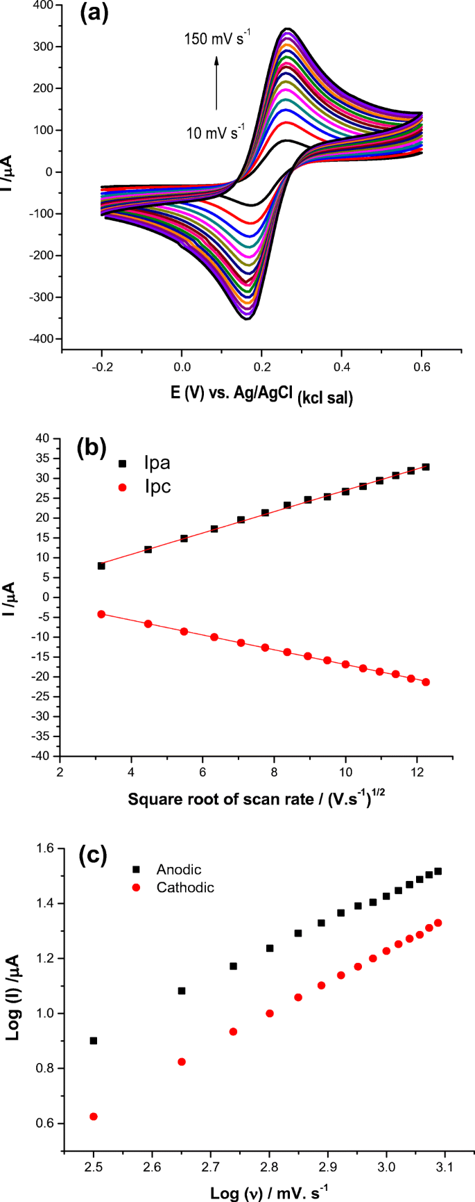Ns1 Glycoprotein Detection In Serum And Urine As An Electrochemical Screening Immunosensor For Dengue And Zika Virus Springerlink Ns1 Glycoprotein Detection In Serum And Urine As An Electrochemical Screening Immunosensor For Dengue And Zika Virus Springerlink