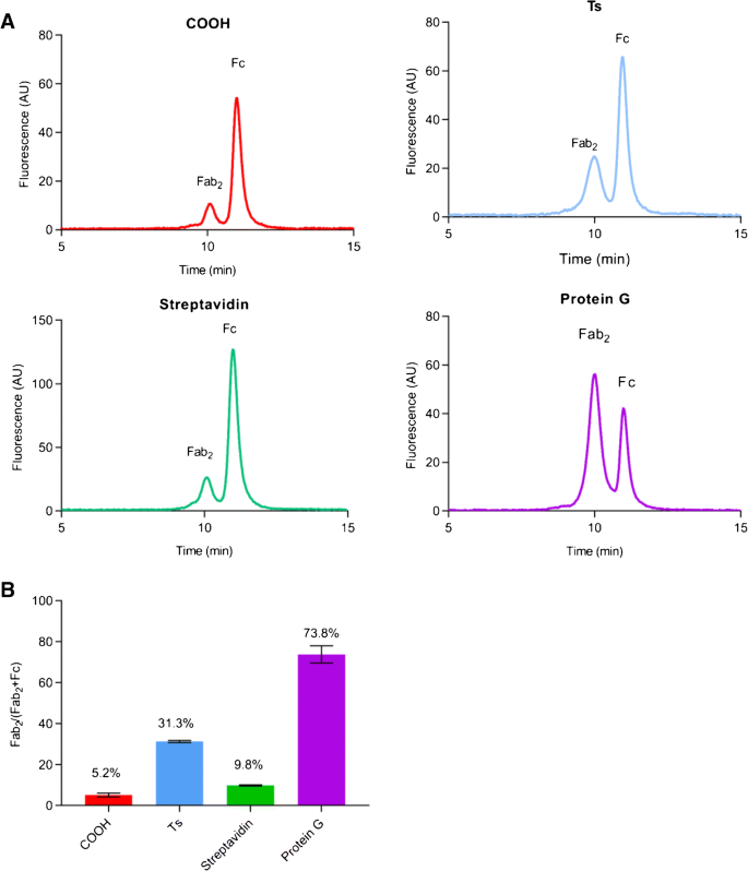 Analytical methods of antibody surface coverage and orientation on