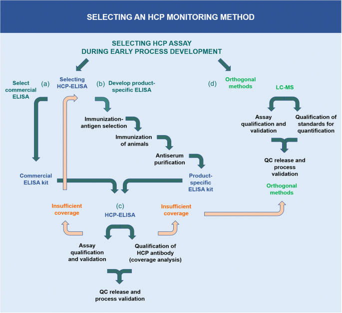 Host-Cell Proteins: Implications for Protein-Drug Efficacy - BioProcess  InternationalBioProcess International