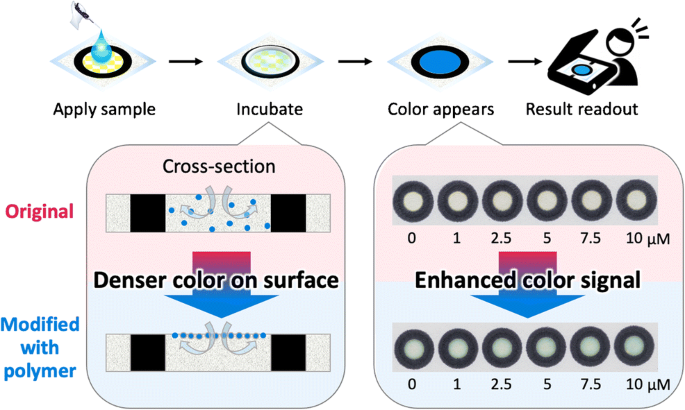 Colorimetric paper-based sarcosine assay with improved sensitivity |  SpringerLink