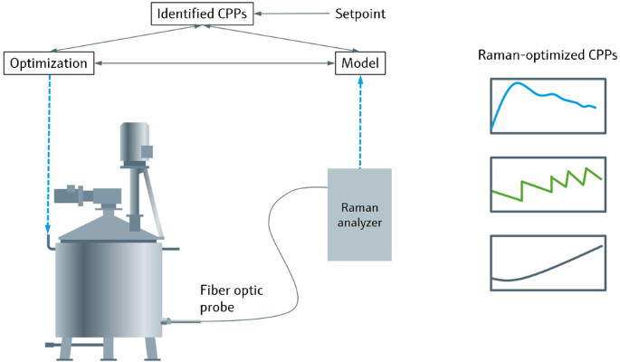 The role of Raman spectroscopy in biopharmaceuticals from development to  manufacturing | Analytical and Bioanalytical Chemistry