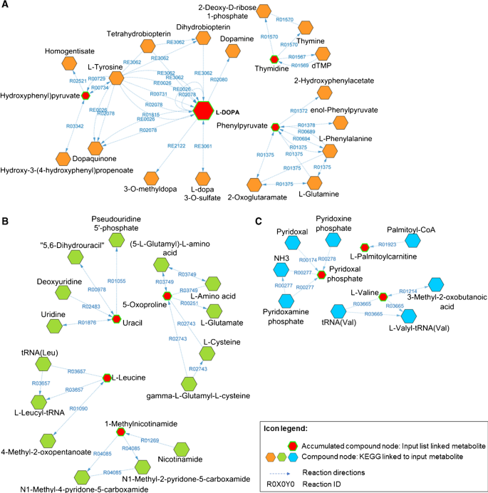 glutathion et l glutamine difference Glutamine: Metabolism and Immune Function, Supplementation and Clinical  Translation
