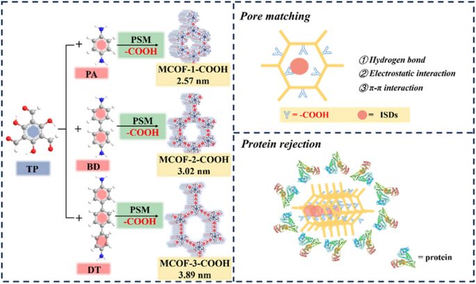 Functionalized magnetic covalent organic frameworks with refining ...