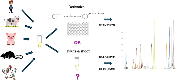 Comparative evaluation of phenyl isothiocyanate derivatization and ...