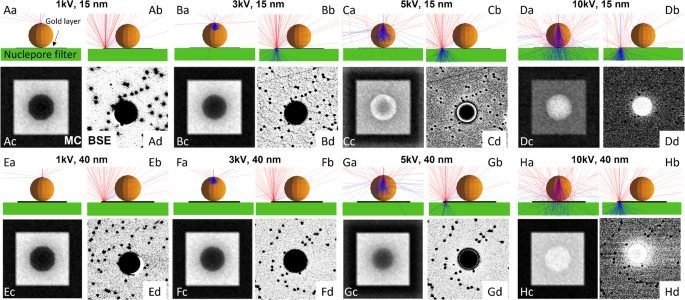 Quantification of small (1–10 µm) microplastic particles in soil ...