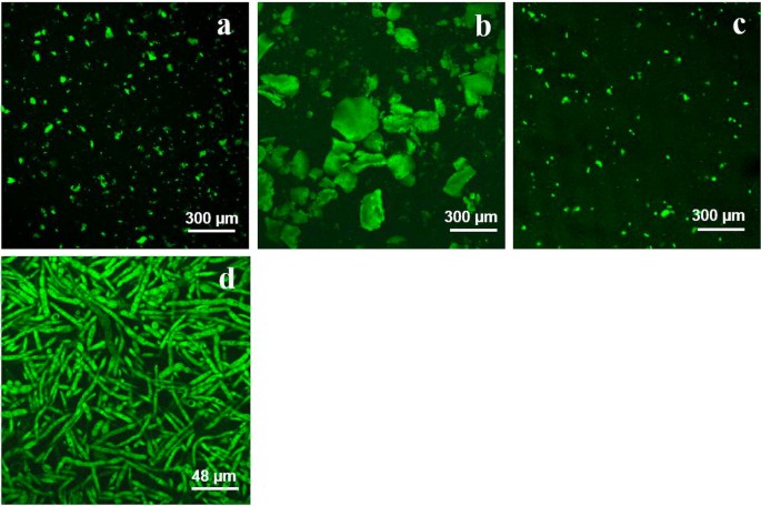 Foaming Emulsifying And Rheological Properties Of Extracts From A Co Product Of The Quorn Fermentation Process Springerlink