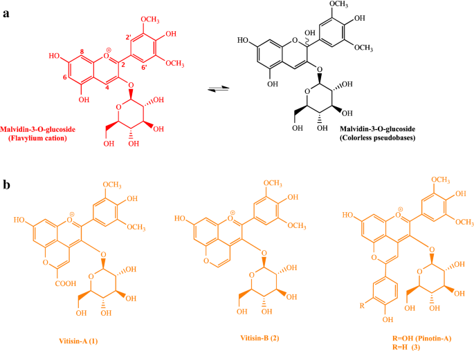 New Insights into Wine Color Analysis: A Comparison of Analytical