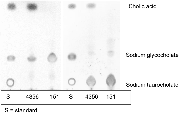 Bile Salt Hydrolase Activity Growth Characteristics And Surface Properties In Lactobacillus Acidophilus Springerlink