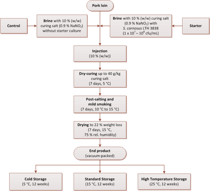 Effect Of Storage Temperature On Volatile Marker Compounds In Cured Loins Fermented With Staphylococcus Carnosus By Brine Injection Springerlink