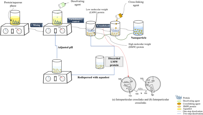 jurnal sintesis protein pdf