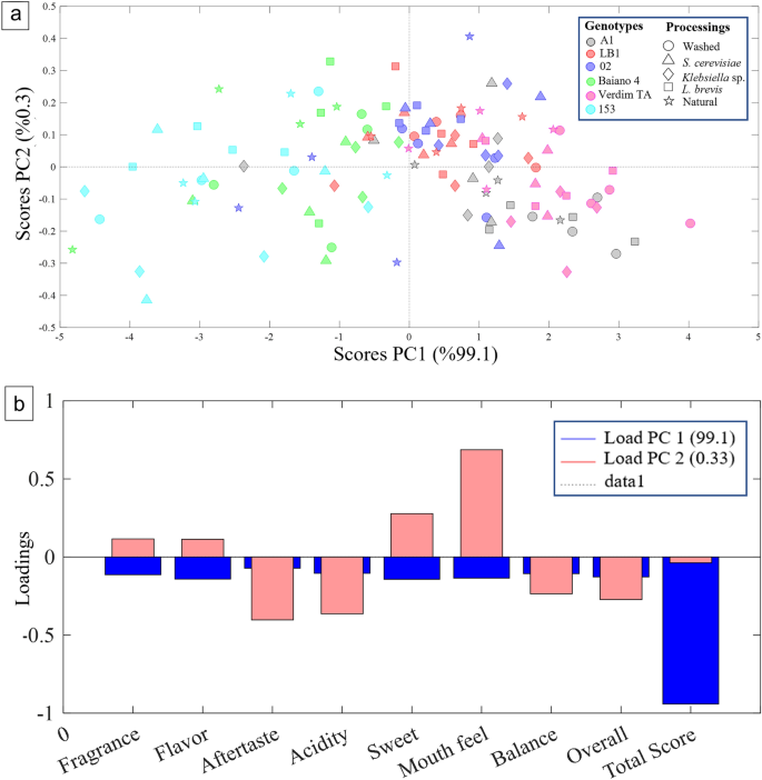 Scatter plot of the first two principal components of 62 Coffea