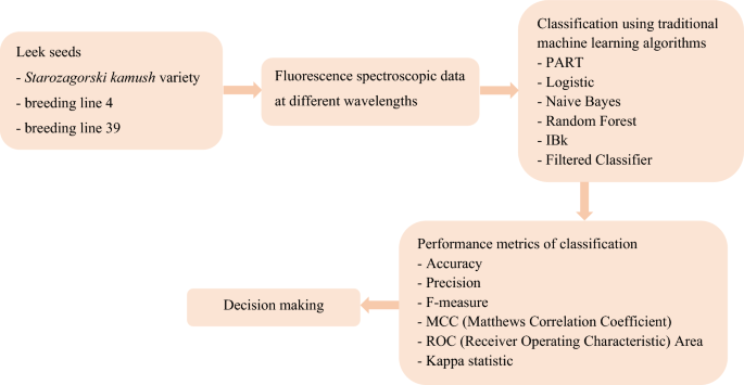 The classification of leek seeds based on fluorescence spectroscopic data  using machine learning | European Food Research and Technology