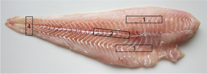 Food inauthenticity: Authority activities, guidance for food operators, and  mitigation tools - Popping - 2022 - Comprehensive Reviews in Food Science  and Food Safety - Wiley Online Library