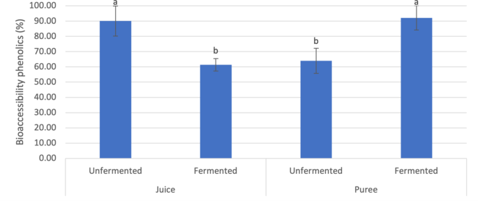 effect-of-lactic-fermentation-and-matrix-on-phenolic-content