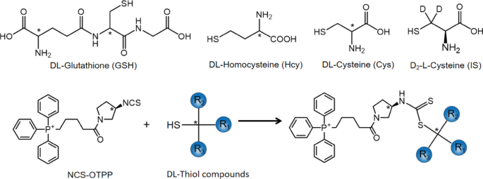 A novel UHPLC-HRMS method based on NCS-OTPP labeling for determination of  three chiral sulfhydryl compounds in wine and metabolic analysis after  drinking | European Food Research and Technology