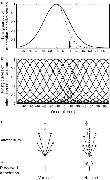 Tilt Aftereffect From Orientation Discrimination Learning Springerlink
