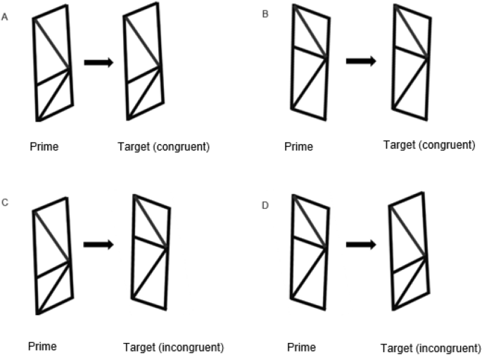 Priming of the Sander Parallelogram illusion separates perception from  action | SpringerLink