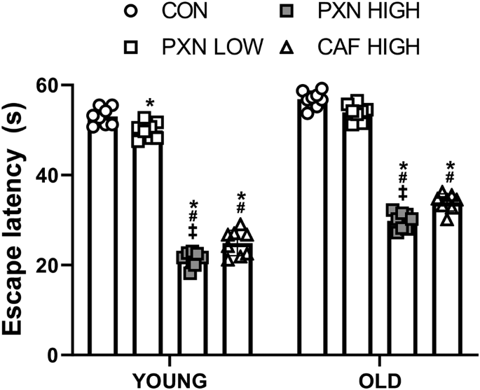 glutathione injection vs iv drip Glutathione IV: Before and After