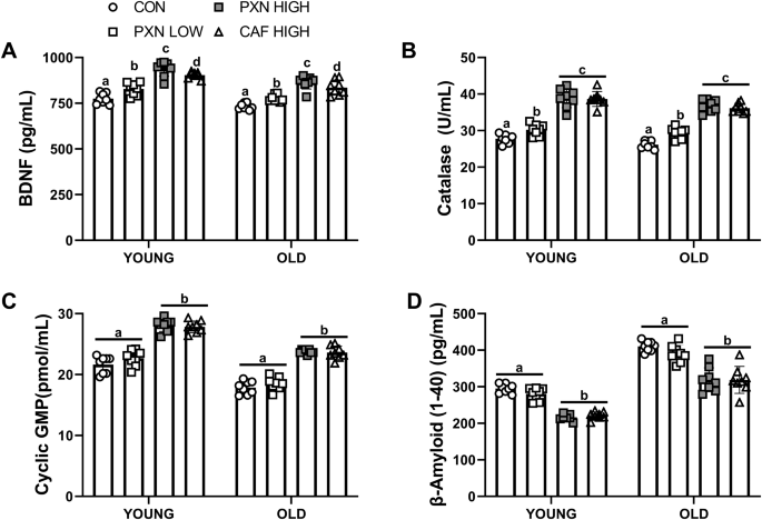 cjc 1295 + ipamorelin benefits cjc-1295 ipamorelin benefits recovery CJC-1295 + Ipamorelin: Benefits, Differences, and When to Combine – Revolution cjc 1295 + ipamorelin benefits cjc-1295 ipamorelin benefits recovery CJC-1295 + Ipamorelin: Benefits, Differences, and When to Combine – Revolution