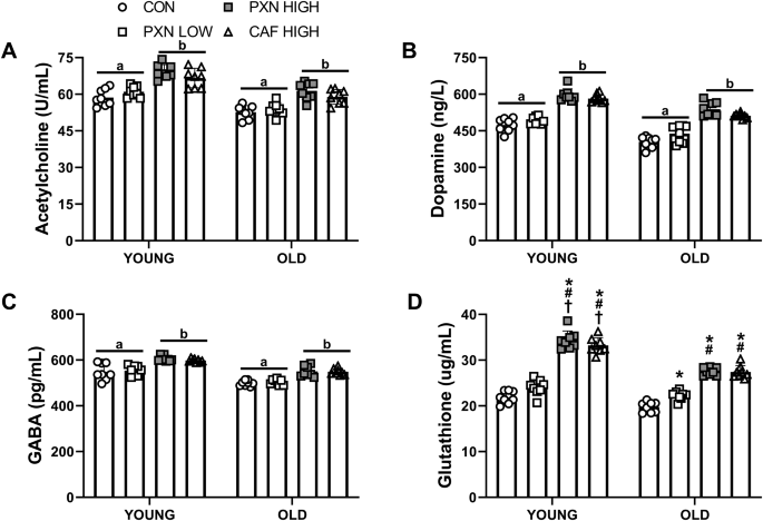 paraxanthine glutathione catalase Paraxanthine enhances memory and neuroplasticity more than caffeine in rats  | Experimental Brain Research