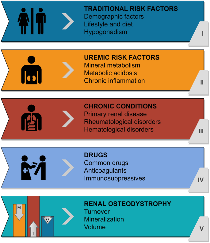 osteoporosis risk factors