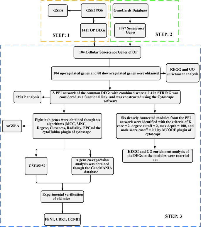 Integrated Bioinformatics Analysis and Experimental Validation of the ...