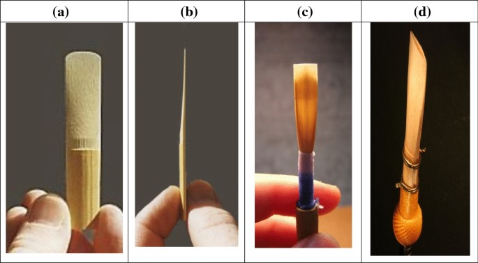 Traditional and new materials for the reeds of woodwind musical instruments  | SpringerLink