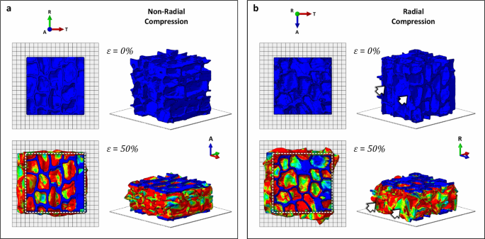 3D cellular characterization and finite element analysis of cork