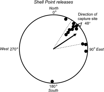 Site Fidelity And Homing Behavior In Juvenile Loggerhead Sea Turtles Caretta Caretta Springerlink Site Fidelity And Homing Behavior In Juvenile Loggerhead Sea Turtles Caretta Caretta Springerlink