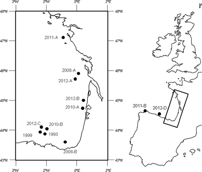 No Loss Of Genetic Diversity In The Exploited And Recently Collapsed Population Of Bay Of Biscay Anchovy Engraulis Encrasicolus L Springerlink