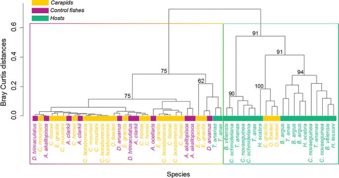 Mechanisms Involved In Pearlfish Resistance To Holothuroid Toxins Springerlink