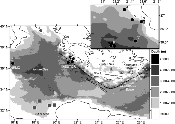 Bathyal and abyssal demersal bait-attending fauna of the Eastern ...