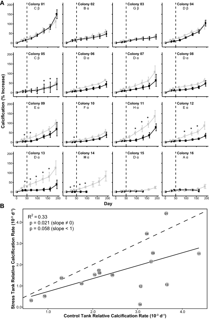 PDF) Genetic variation in Breviolum antillogorgium, a coral reef symbiont,  in response to temperature and nutrients