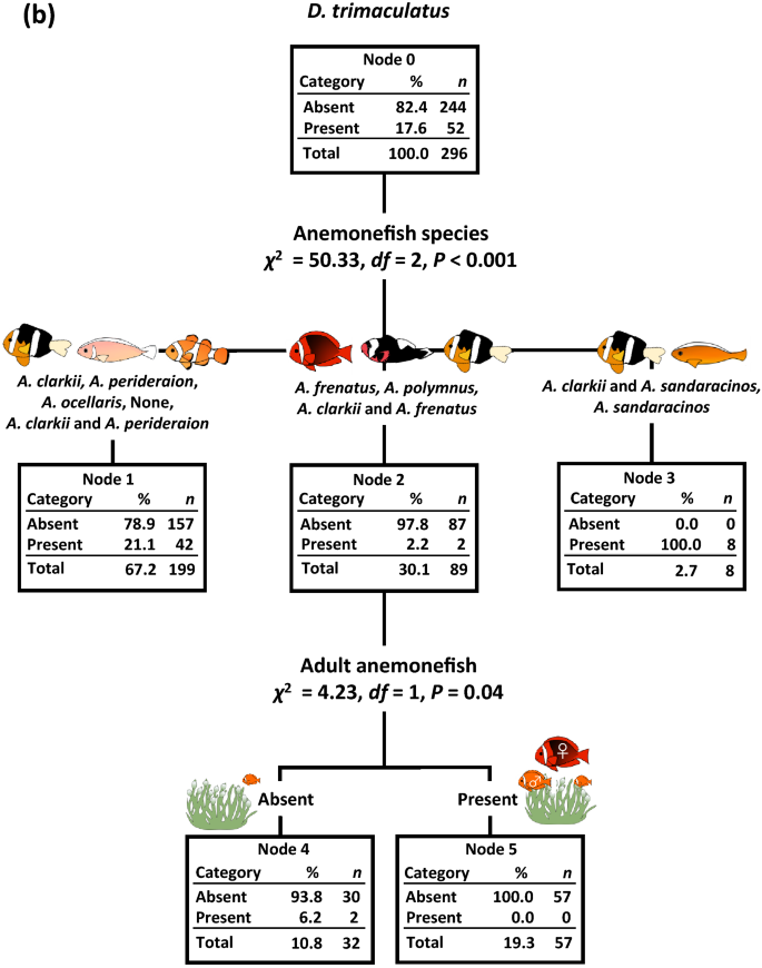 Anemonefish aggressiveness affects the presence of Dascyllus trimaculatus  co-existing with host anemones