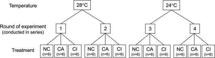 springerlink