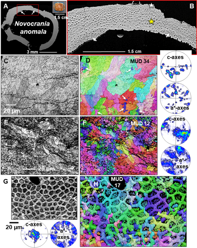 figure 26