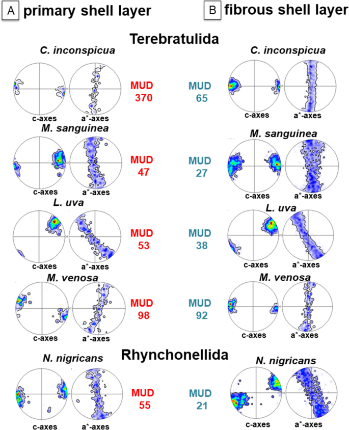 figure 32