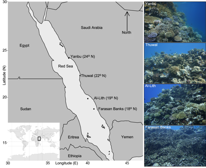 ERDDAP - Deep Sea Corals Research and Technology Program National Database  - Make A Graph