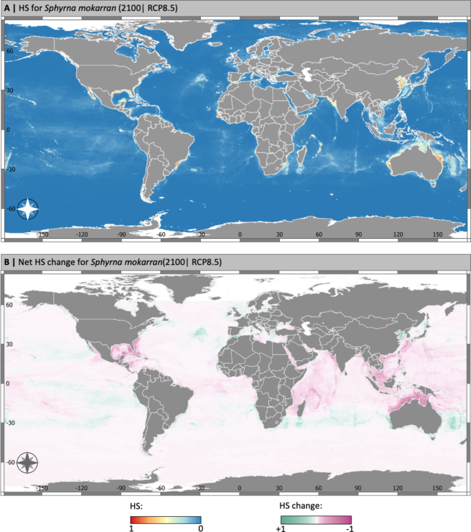 Shifts in the habitat suitability for large hammerhead sharks under ...