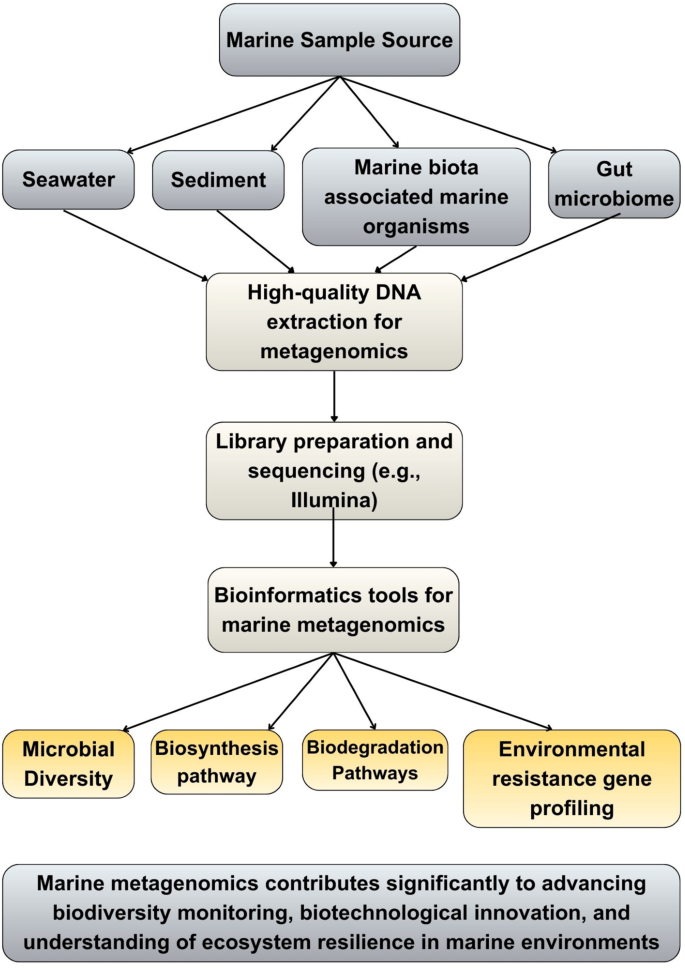 Insights on the applicability of metagenomics in marine environments ...