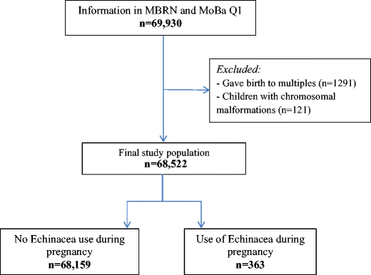 Pregnancy Outcomes After Prenatal Exposure To Echinacea The Norwegian Mother And Child Cohort Study Springerlink