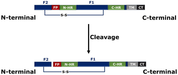 figure 8