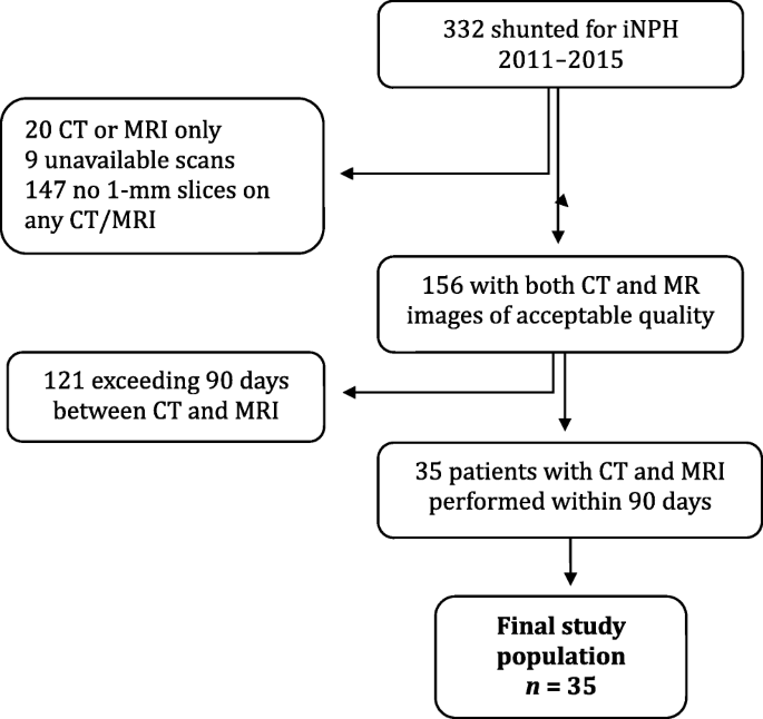 Standardized image evaluation in patients with idiopathic normal pressure  hydrocephalus: consistency and reproducibility | SpringerLink