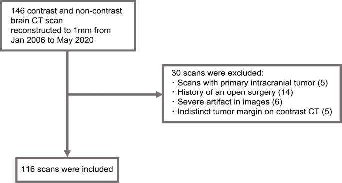 Automated detection of brain metastases on non-enhanced CT using