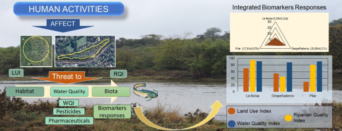 Effect Of Landscape Changes On Water, J&D Landscaping