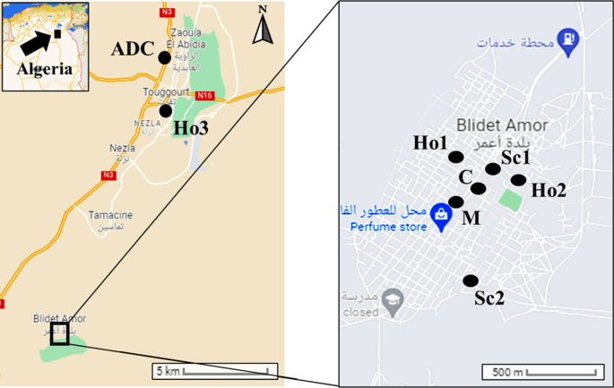 n-Alkanes and Polycyclic Aromatic Hydrocarbons in Deposition Dust and PM10  of Interiors in Touggourt Region, Algeria | SpringerLink