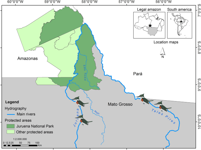 Green Kingfishers as Sentinel Species for Mercury Contamination in Amazon |  SpringerLink